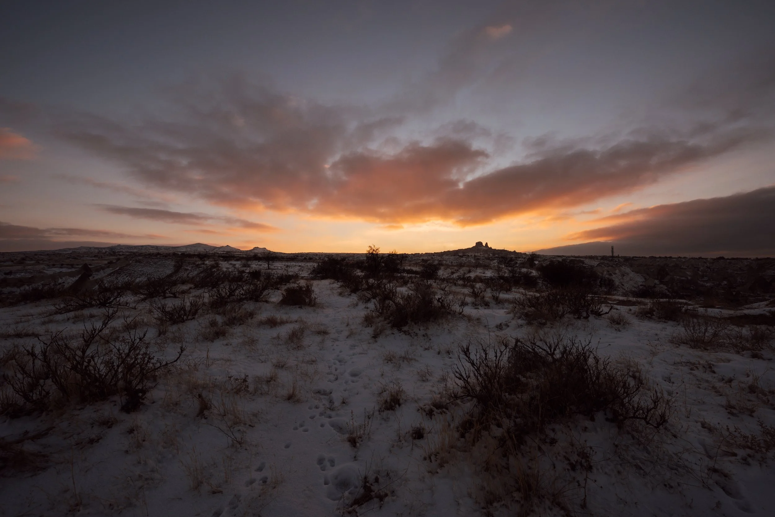 _DSC4722-Edit.jpeg