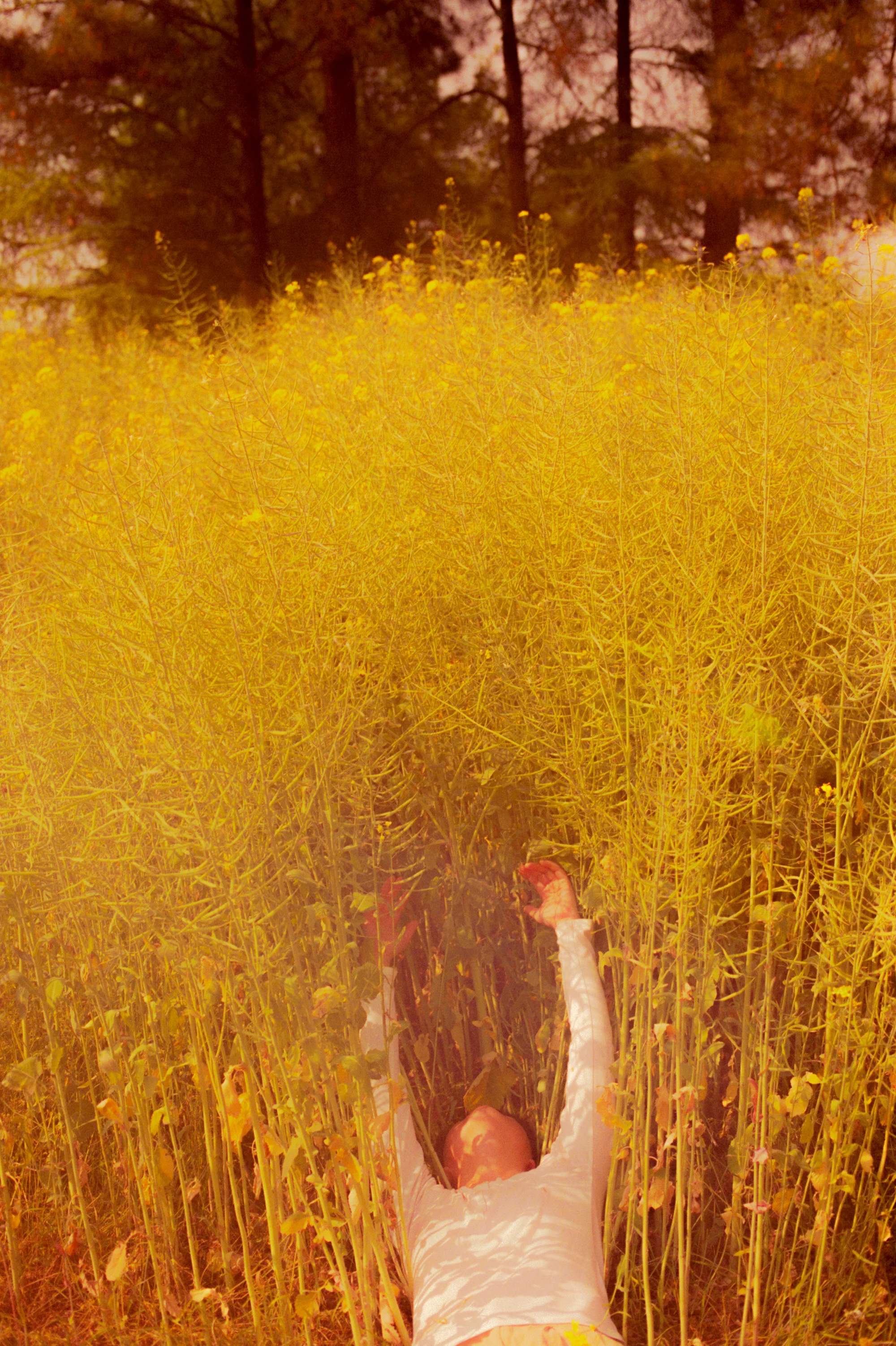 li_hui__04.jpg