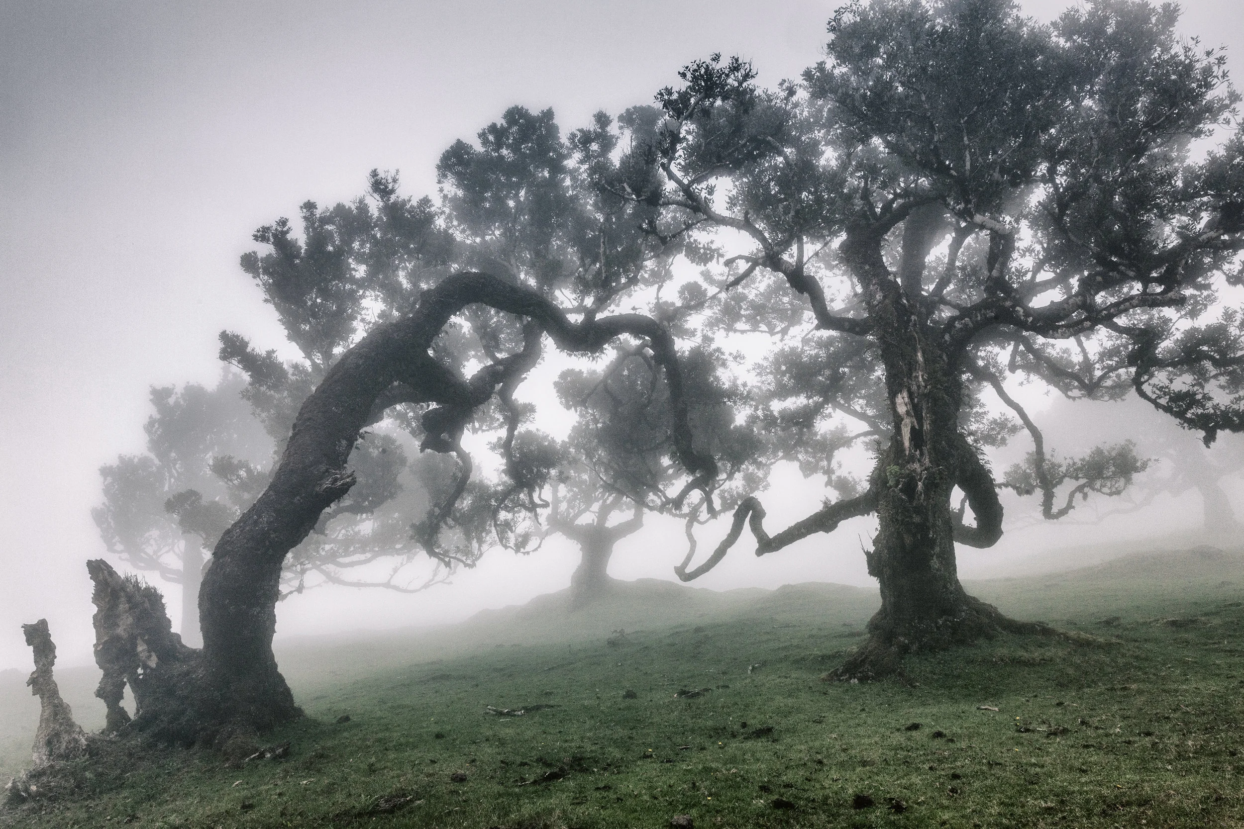 MADEIRA-130.jpg