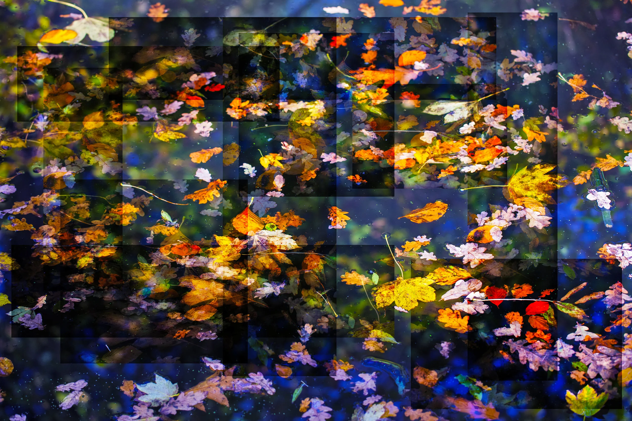 AUTUMN 1.jpg