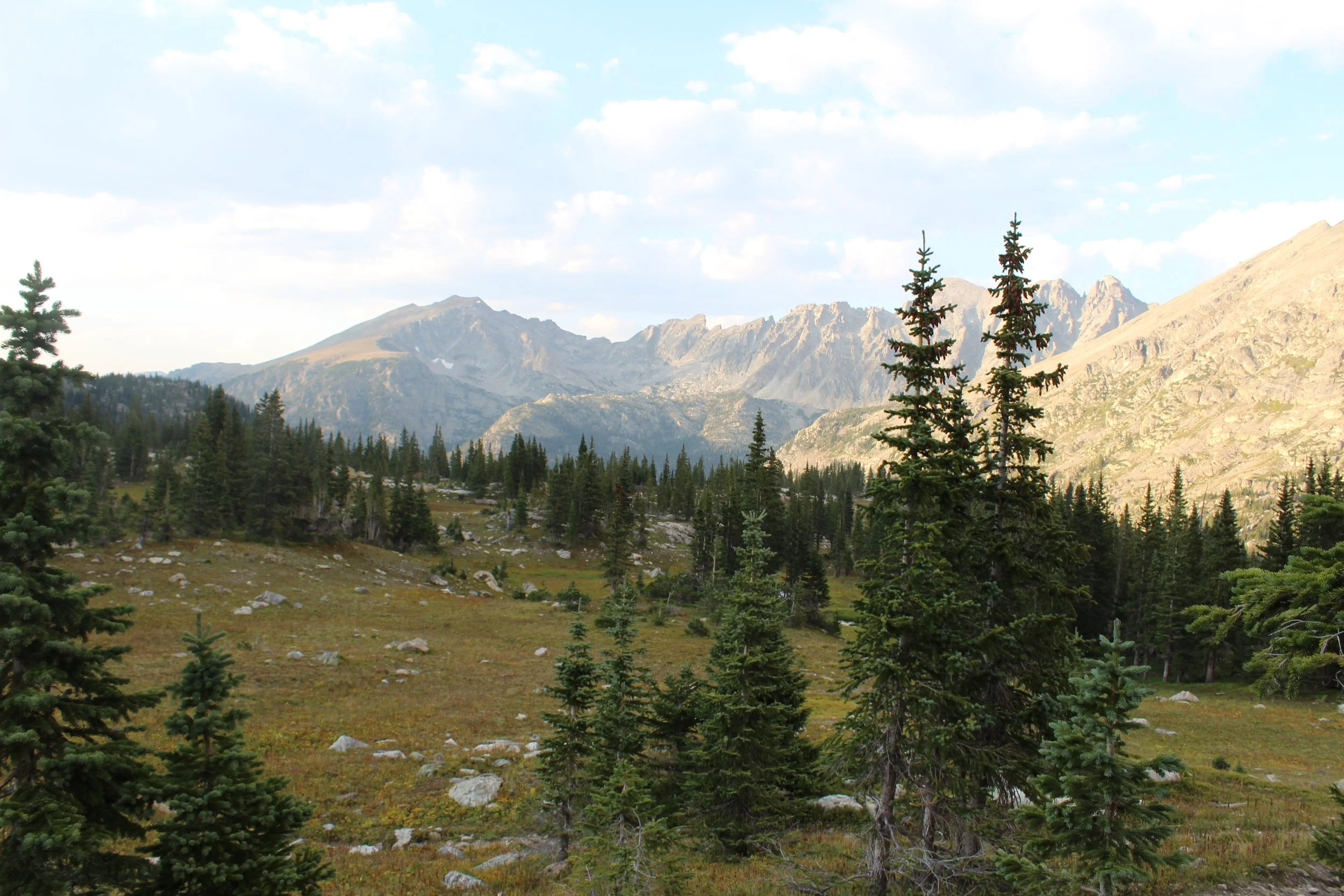 IMG_8594.jpg