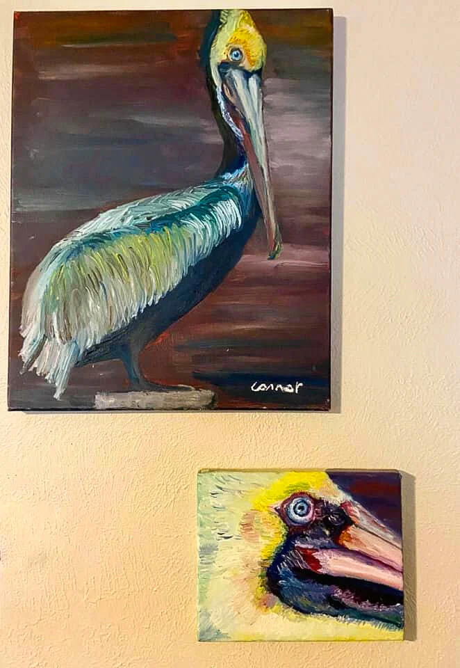 pelican.jpg