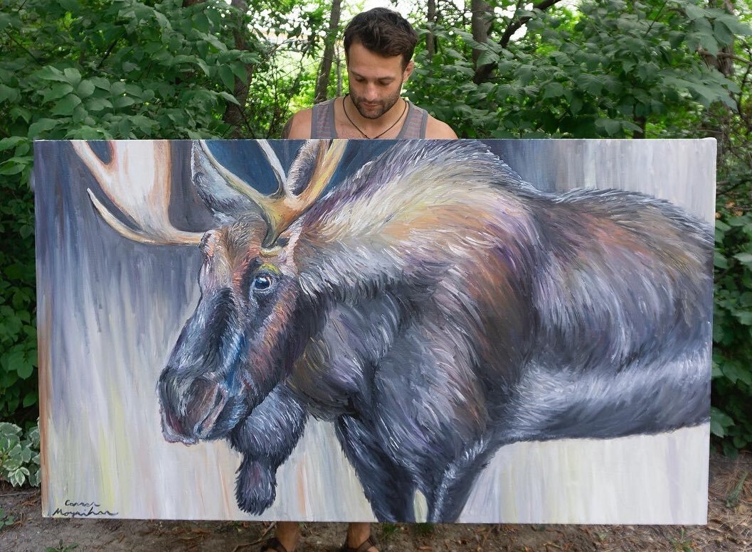 Really excited about this moose I just painted, I was kind of burnt out on painting for a while because of all the commissions I did this year. I&rsquo;m happy to be stoked again. &ldquo;Big ol Moose&rdquo; 6ft x 3.5ft 

#moosepainting #wildlifepaint