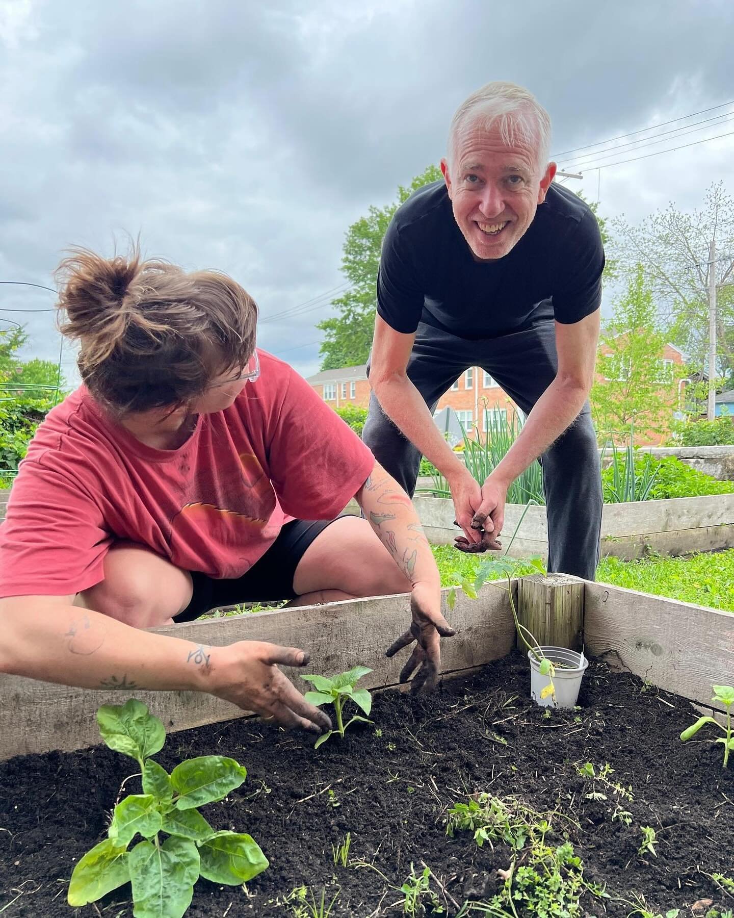 Exciting news! In collaboration with Intersect Arts Center (@intersectartscenter) and the Saint Louis Sudbury School community, we&rsquo;ve planted sunflowers, kale, swiss chard, tomatoes, peppers, and more in the beautiful garden outside our space. 