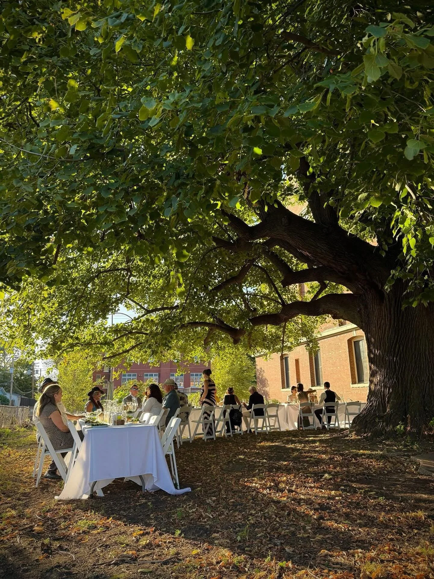 Be sure to enjoy a few peaceful moments under the beautiful Linden tree in our yard when you come to our Fall Open House on Saturday, October 11, 1 to 4 pm! 🌳 Check out our homegrown pumpkins from the garden, movement space, kitchen, ceramics studio