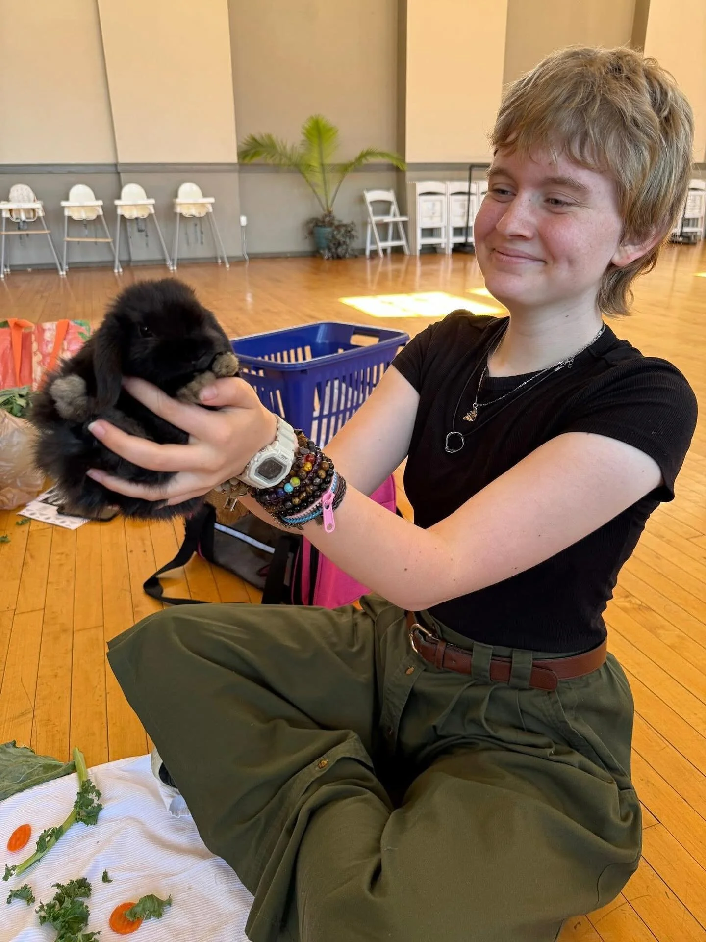 Two Sudbury students are interested in having another bunny day! 🐰 Last May, we had local bunny breeder, Lauren of Hop &amp; Harvest (@hop_and_harvest), bring baby and adult Holland Lops to Sudbury. It was one of the most memorable moments of the ye
