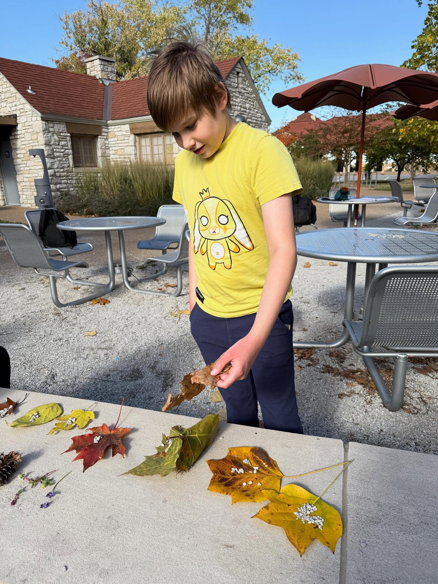 Happy Fall! 🍁 We&rsquo;ve been enjoying time outside on field trips to area parks&mdash;making scavenger hunts, climbing, talking, observing, discovering, sharing, and getting to know ourselves and those around us. ❤️ 

Interested in learning more a