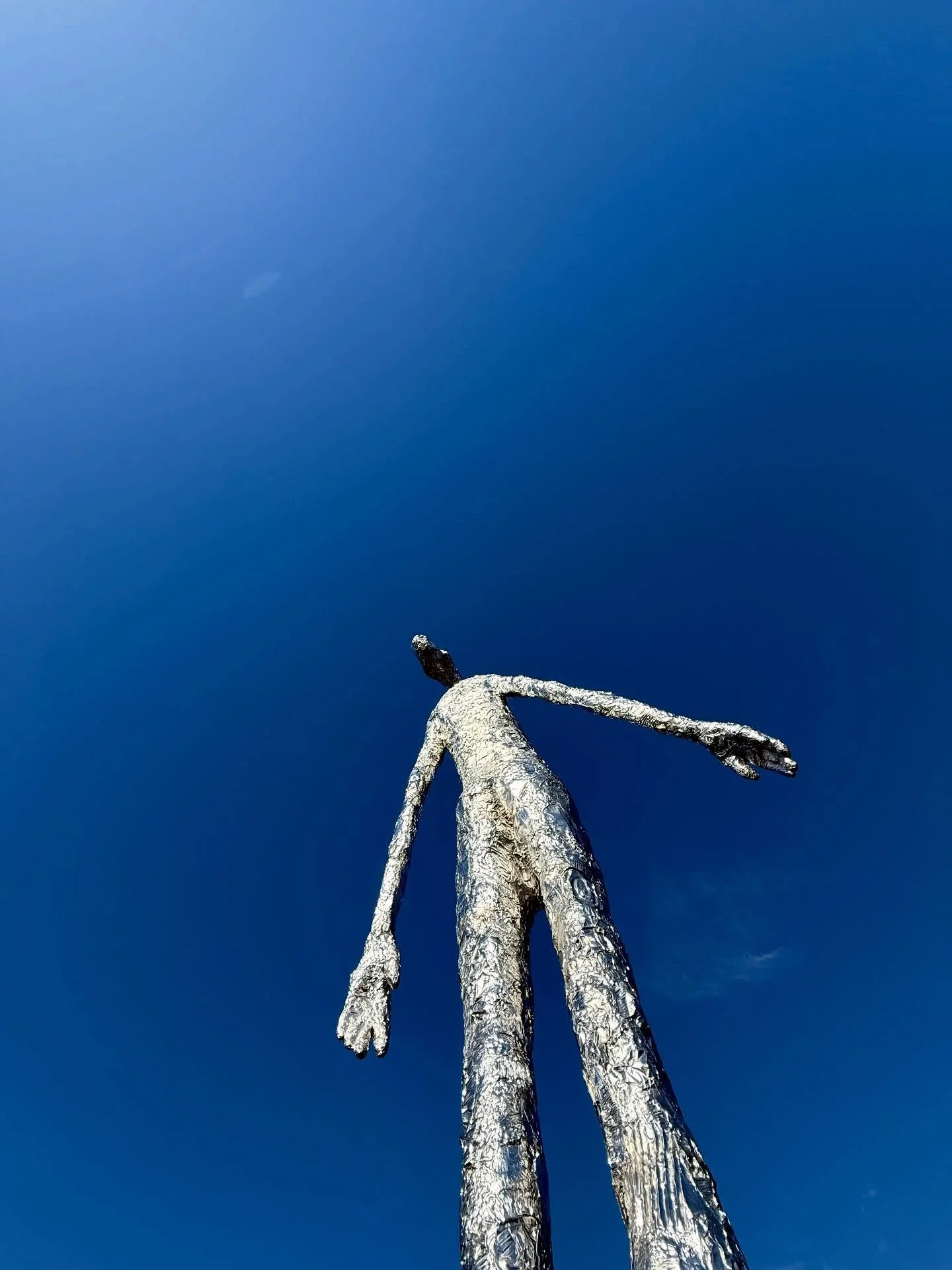We had so much fun exploring this incredible sculpture at the Saint Louis Science Center! @stlsciencecenter 

The piece is called Looking Up, made by artist Tom Friedman. The 33.3-foot, 7,000-pound sculpture was installed by the Gateway Foundation an