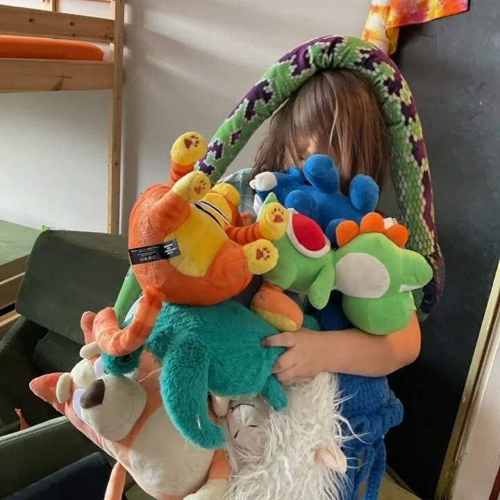 UPDATE! ❄️ Today is a Snow Day, GivingTuesday, and an impromptu Stay-at-home-and-hug-your-plushies Day. ➡️ Saint Louis Sudbury School is closed Tuesday, December 2, 2025 due to continued poor road conditions. Stay safe and cozy everyone! 🥰