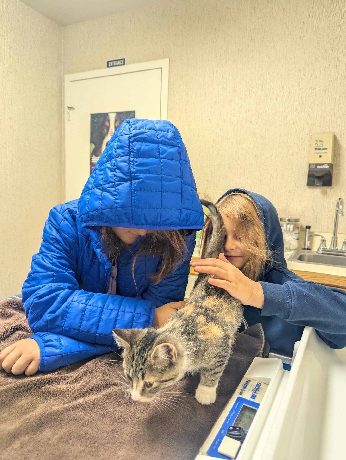 🐈 Sudbury students and their families truly live the idea that learning is everywhere! 💕 A Sudbury student went with his family to the vet for his sweet kitten&rsquo;s checkup. He learned how important it is for kittens to grow (she gained a pound!