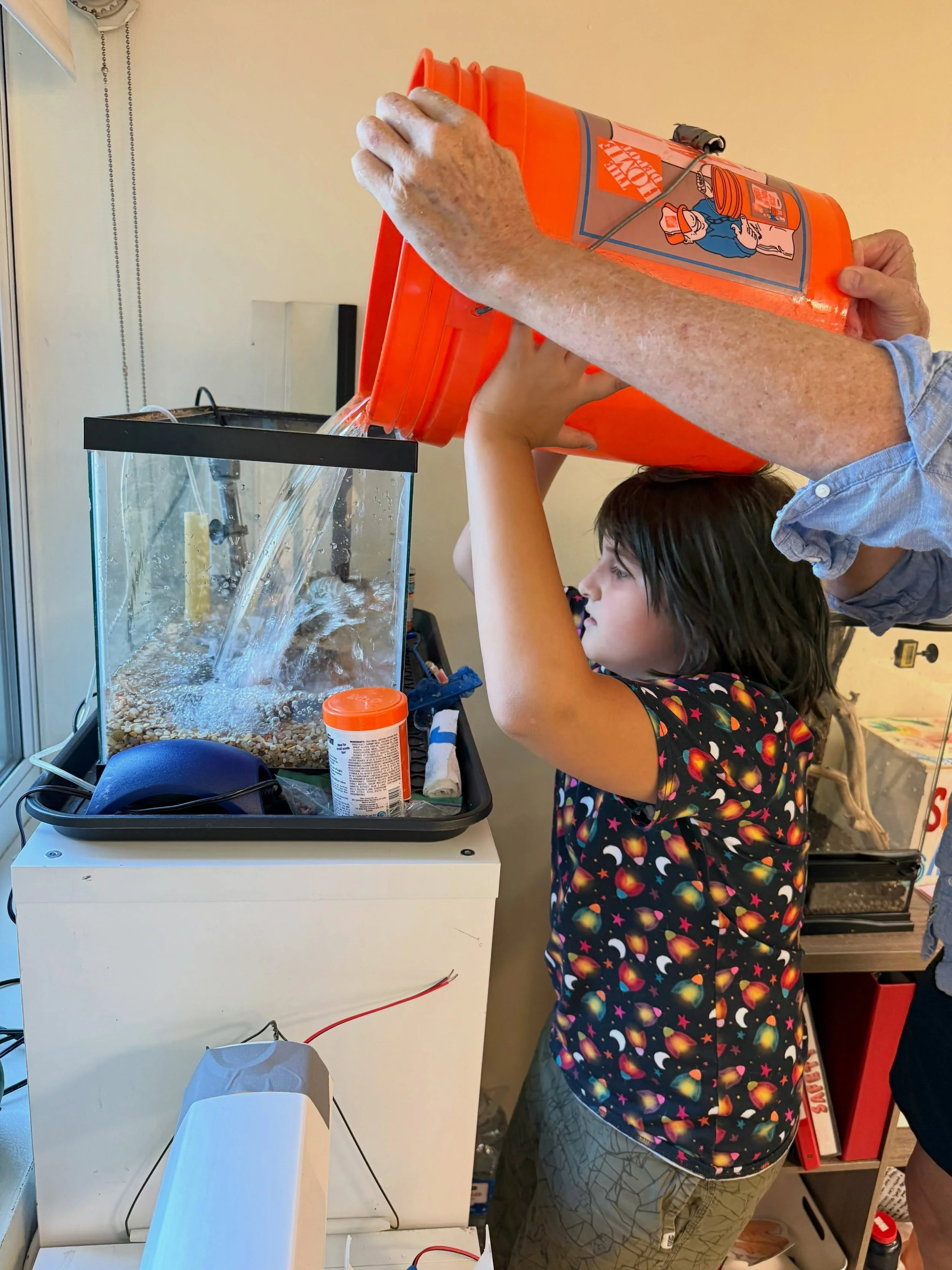 We&rsquo;re getting our aquarium ready for the new school year! 💦 Student led Pet and Plant Committee decided that they would like to get a frog along with some new fish. Students and a Sudbury volunteer did some research together on what kind of fr