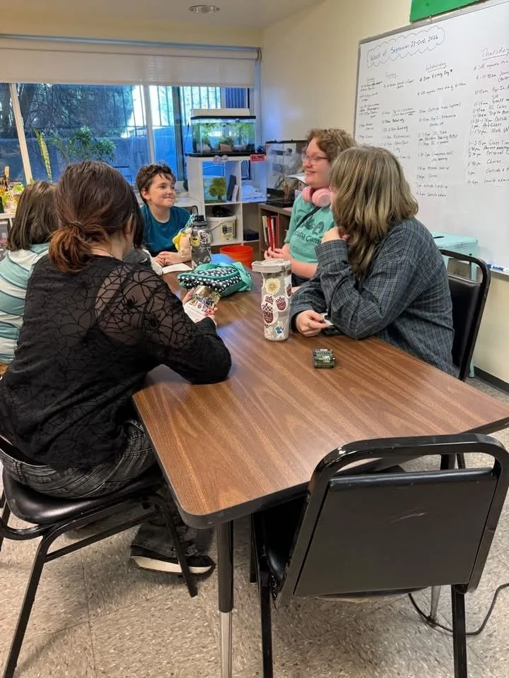 What is a typical day at Saint Louis Sudbury School? 😄 We have some scheduled activities like morning announcements, School Meeting, optional classes and workshops, field trips, clubs, advisory meetings, outside time with a volunteer or staff member