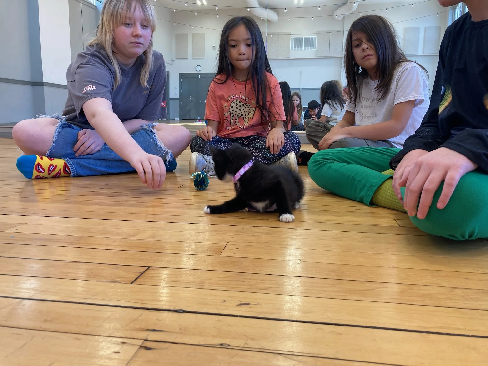 Why Sudbury: Thoughts from a Parent