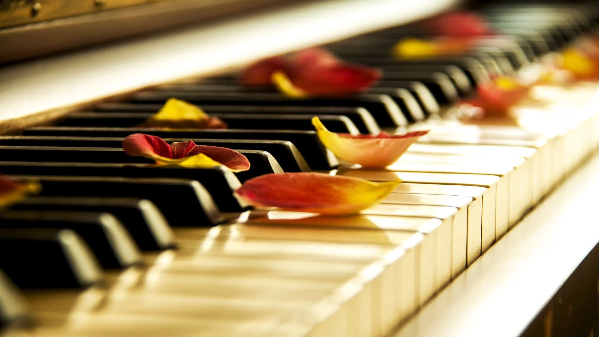 piano.jpg