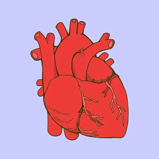 How to Survive a Heart Attack when you are Alone
