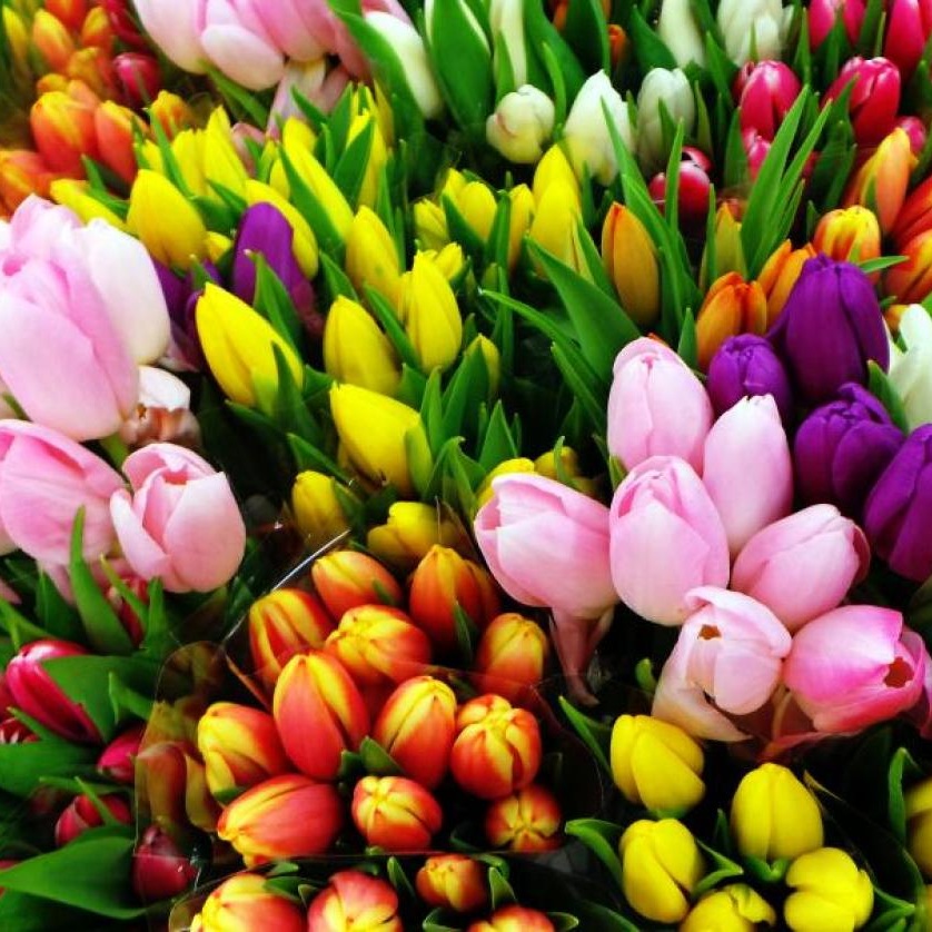 Flowers Lift The Heart...