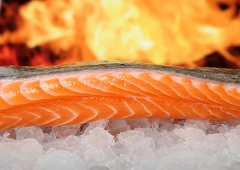 salmon-1238662__340.jpg