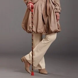 The  Elegance of a Walking Cane
