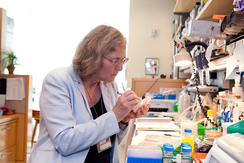elizabeth-blackburn-in-the-lab.jpg