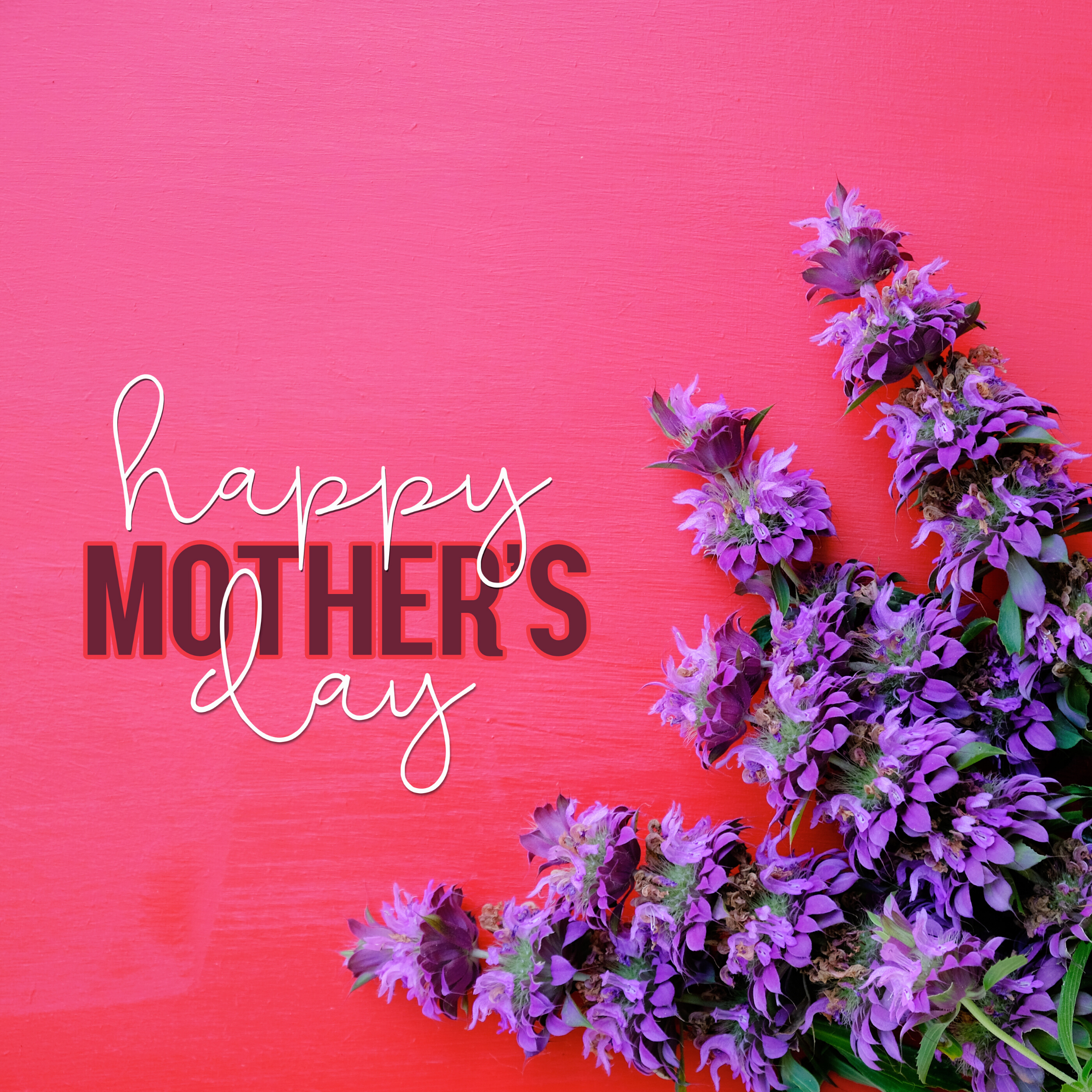 What Does Mother's Day Mean to Us?