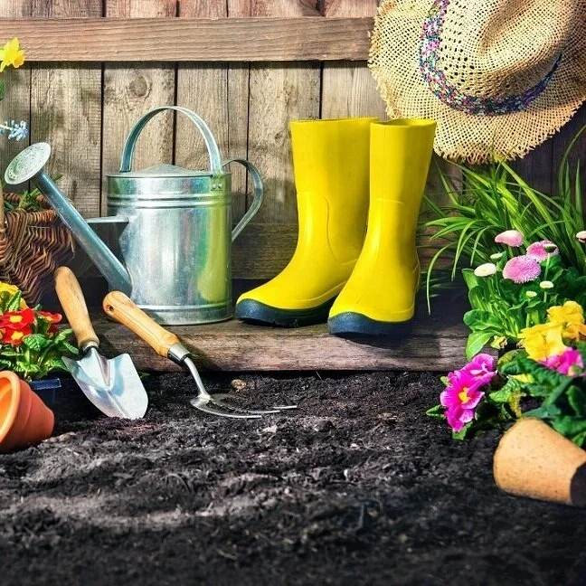 7 Health Benefits to Gardening