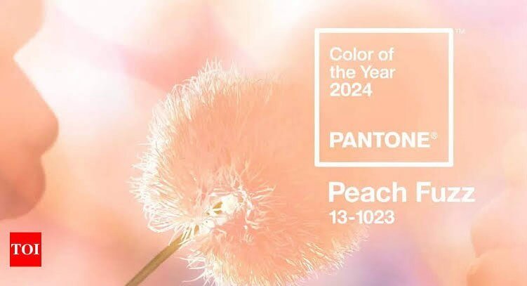 Explore new colours in 2024, try this one&hellip;.