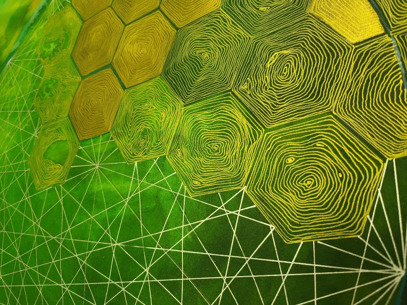 Drawing with Dry Mediums with Dr. Adhi2Owls 7/11/26