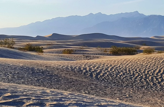 Watercolor Mountain Scape Painting Workshop with Dr. Adhi2owls 3/8/26