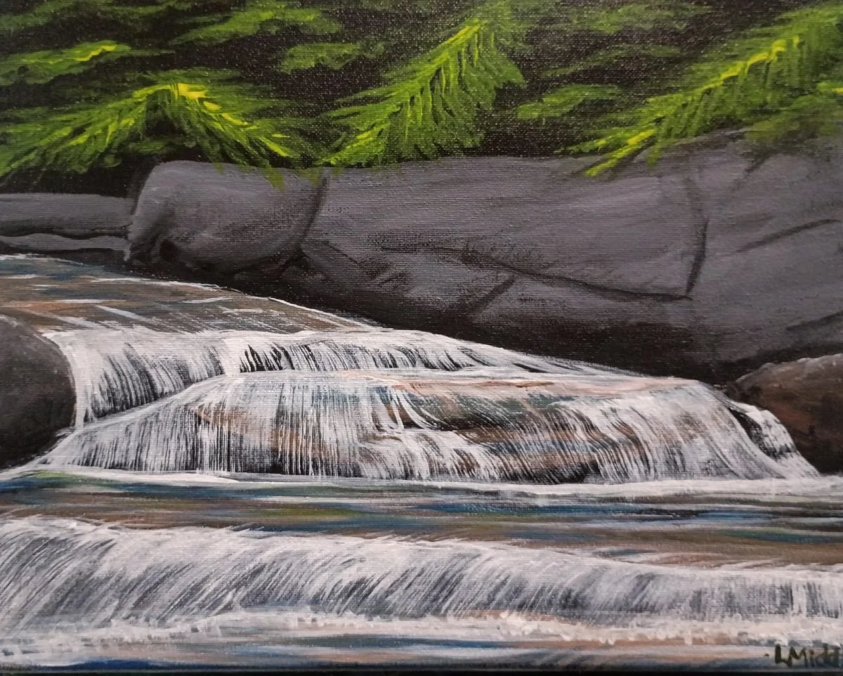 Jackson-Falls-Lisa-Middendorf.jpg