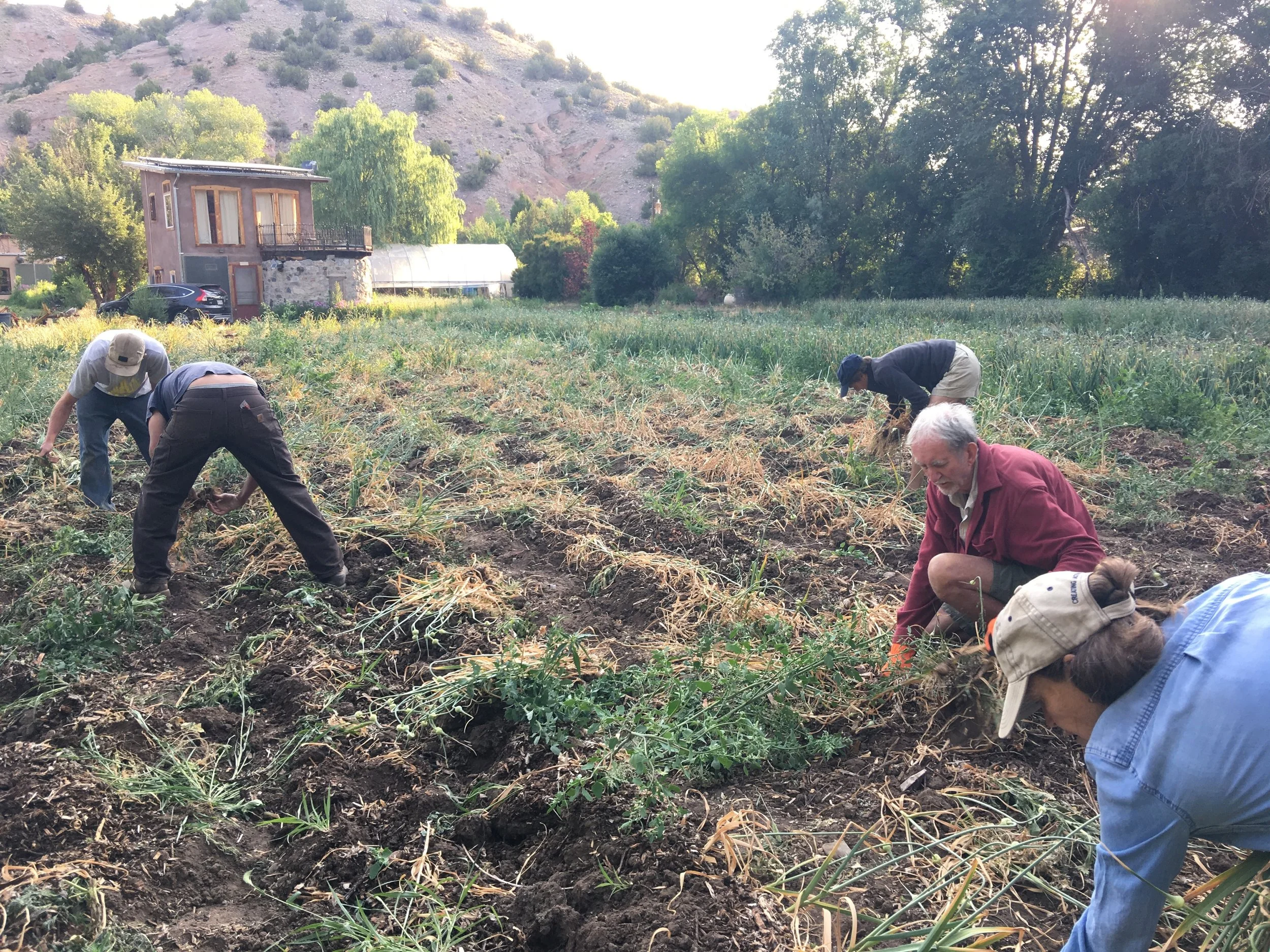 Farms, Food, Drink and Community in Dixon