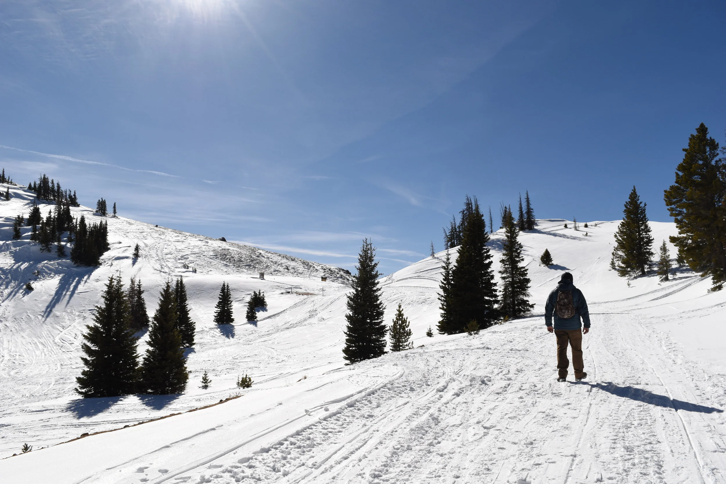 Searching for Something