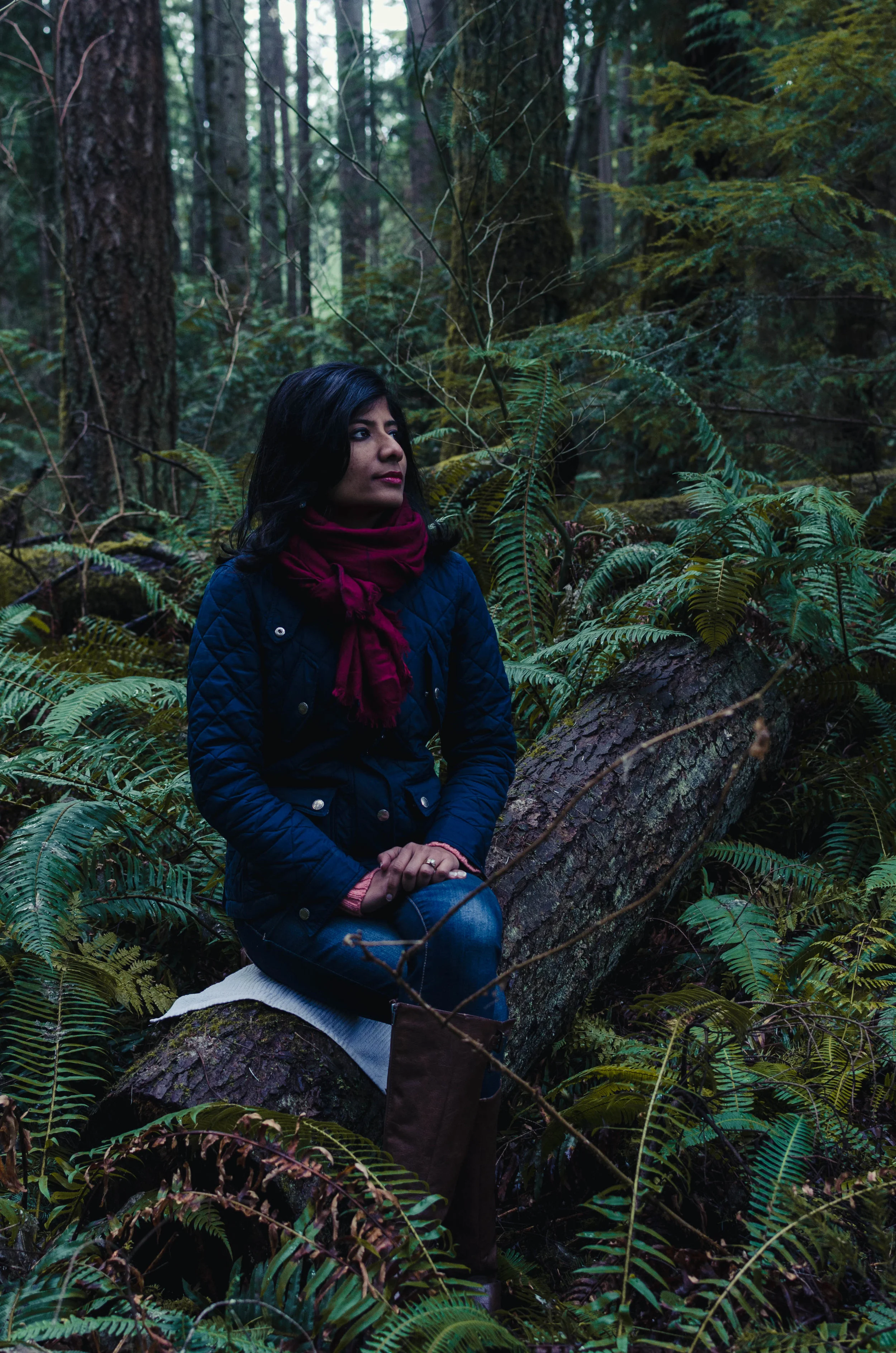 Sitting on a log.jpg
