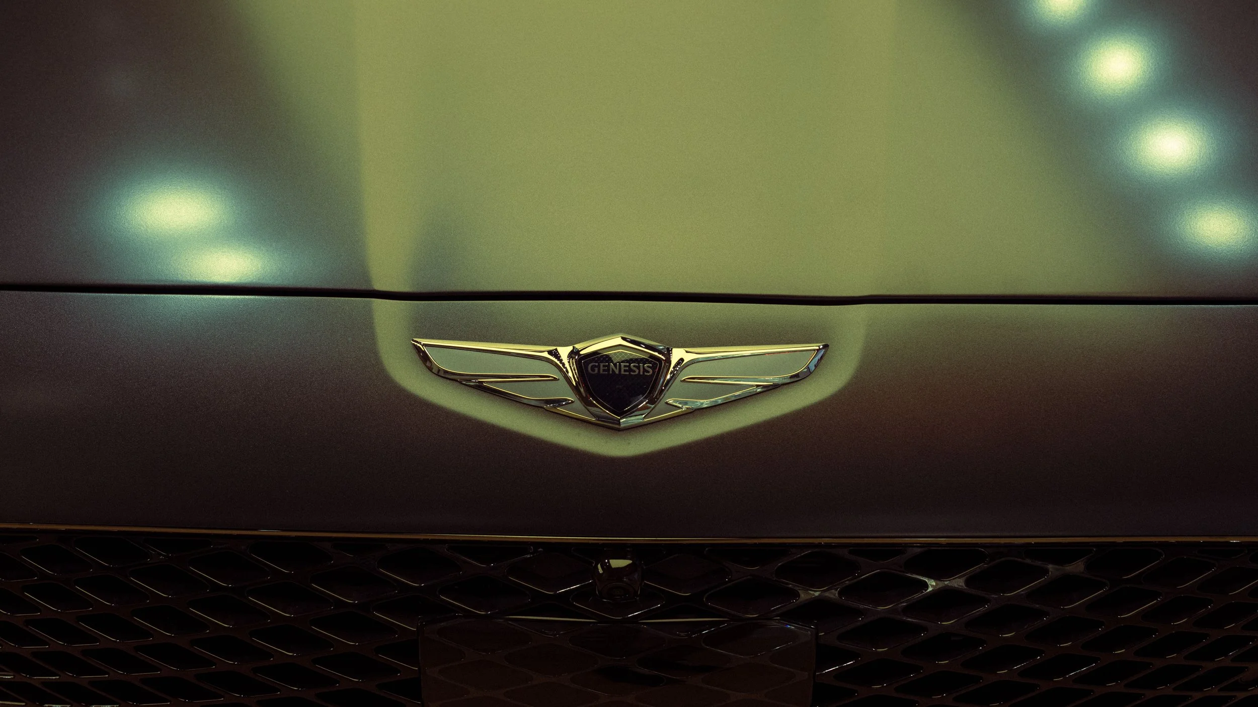 2T5A9982.JPG