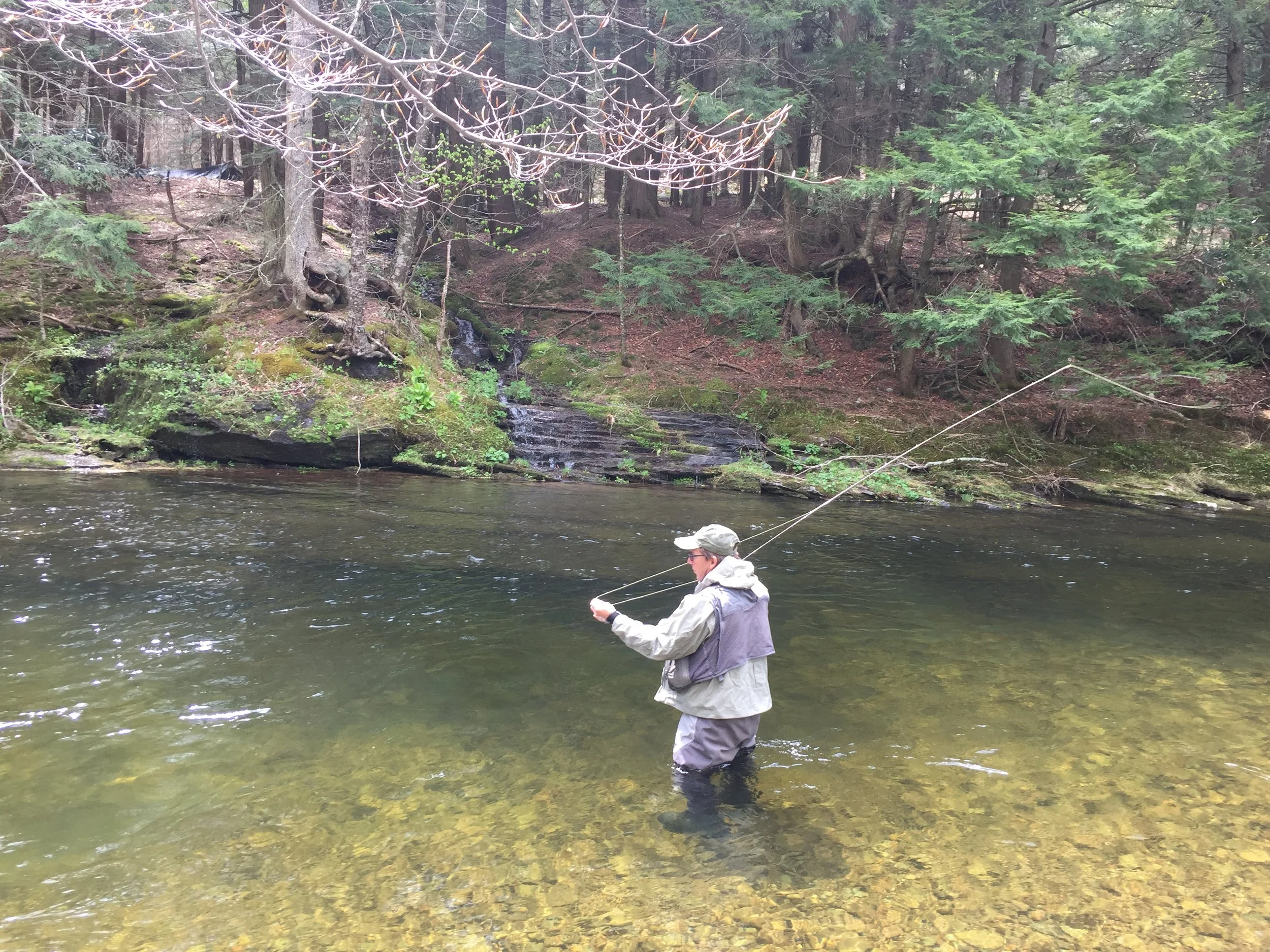 Casting for Big Browns