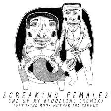screaming females _ sammus.jpg