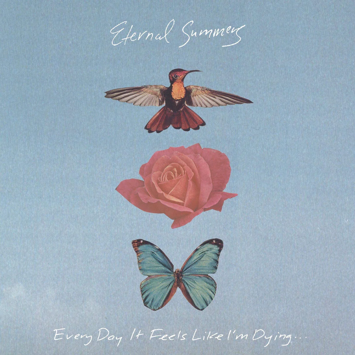 eternal summers.jpg