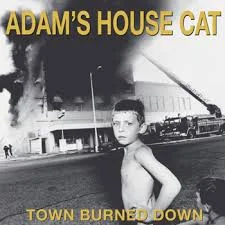 adams house cat.jpg