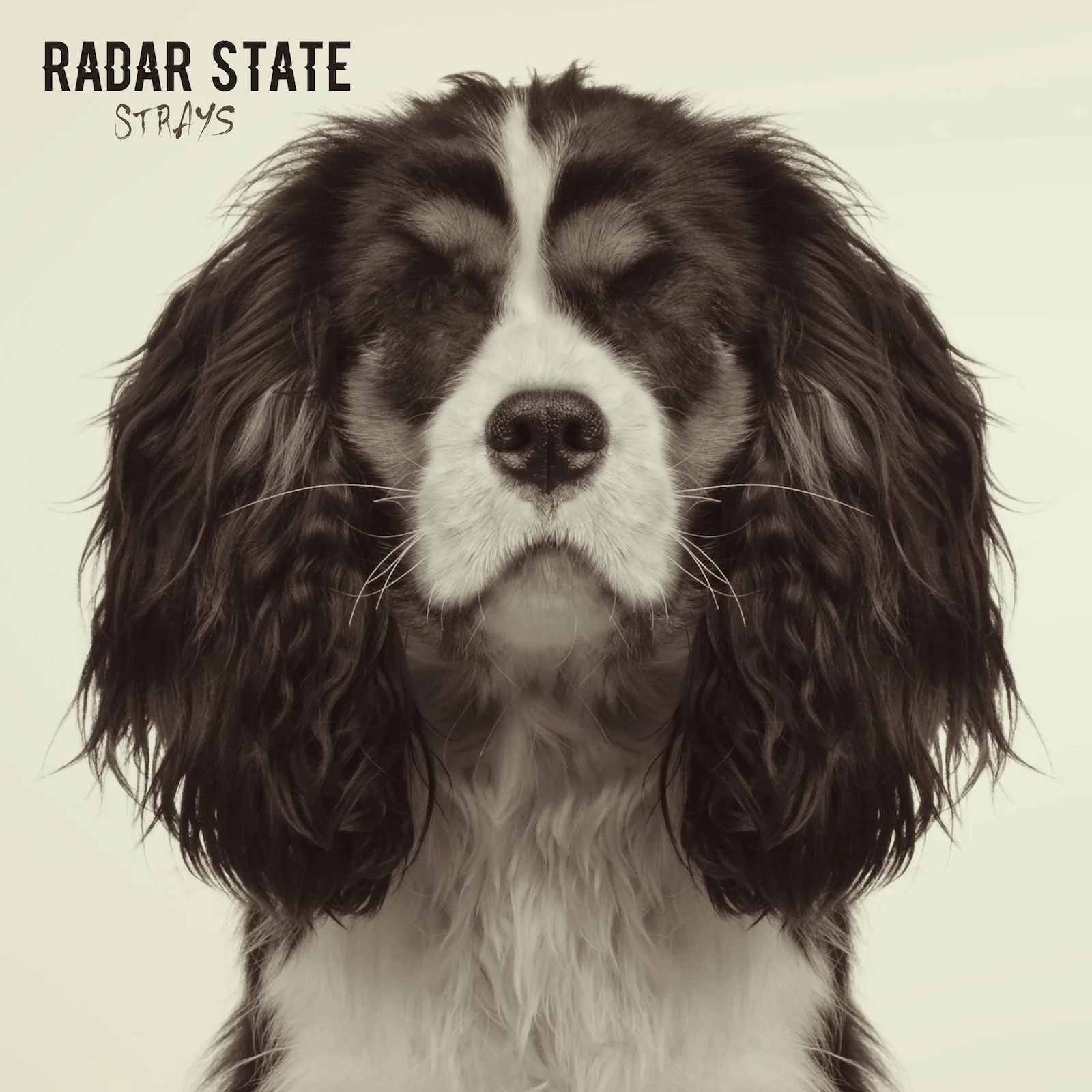 radar state.jpg
