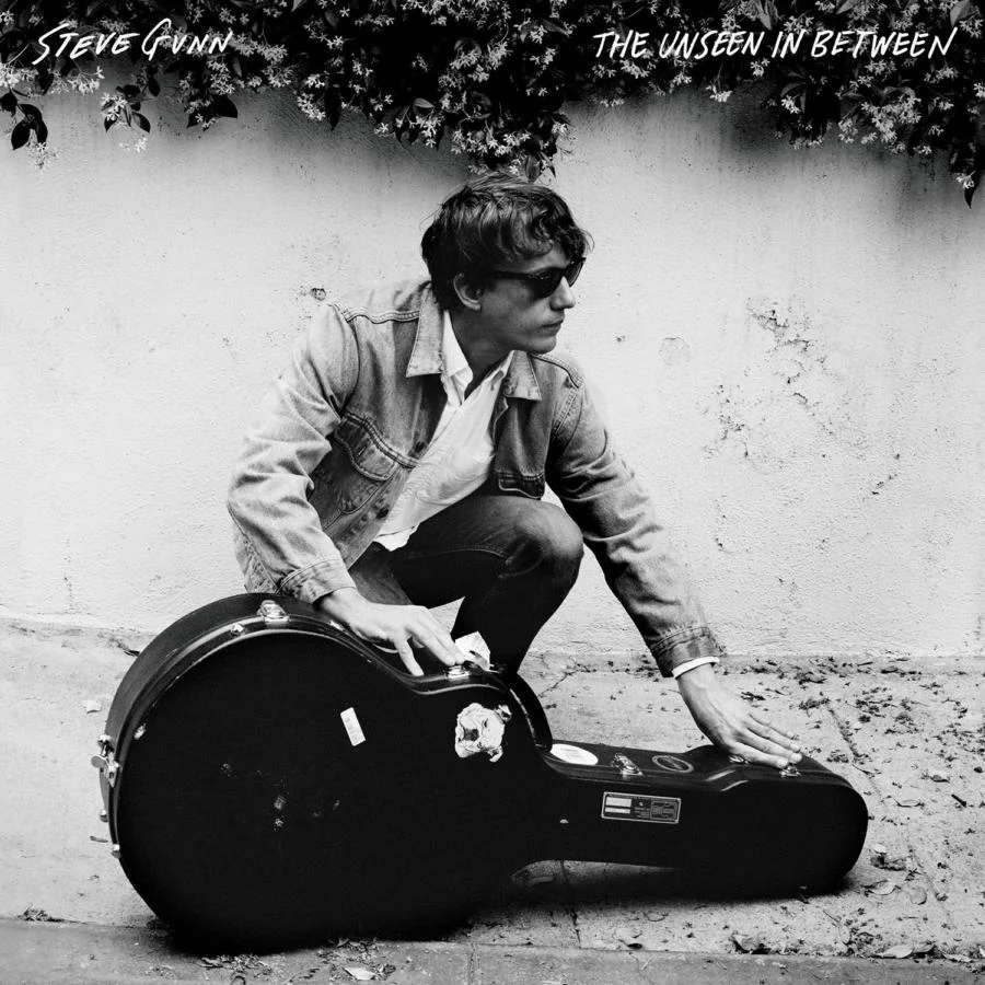 steve gunn.jpg
