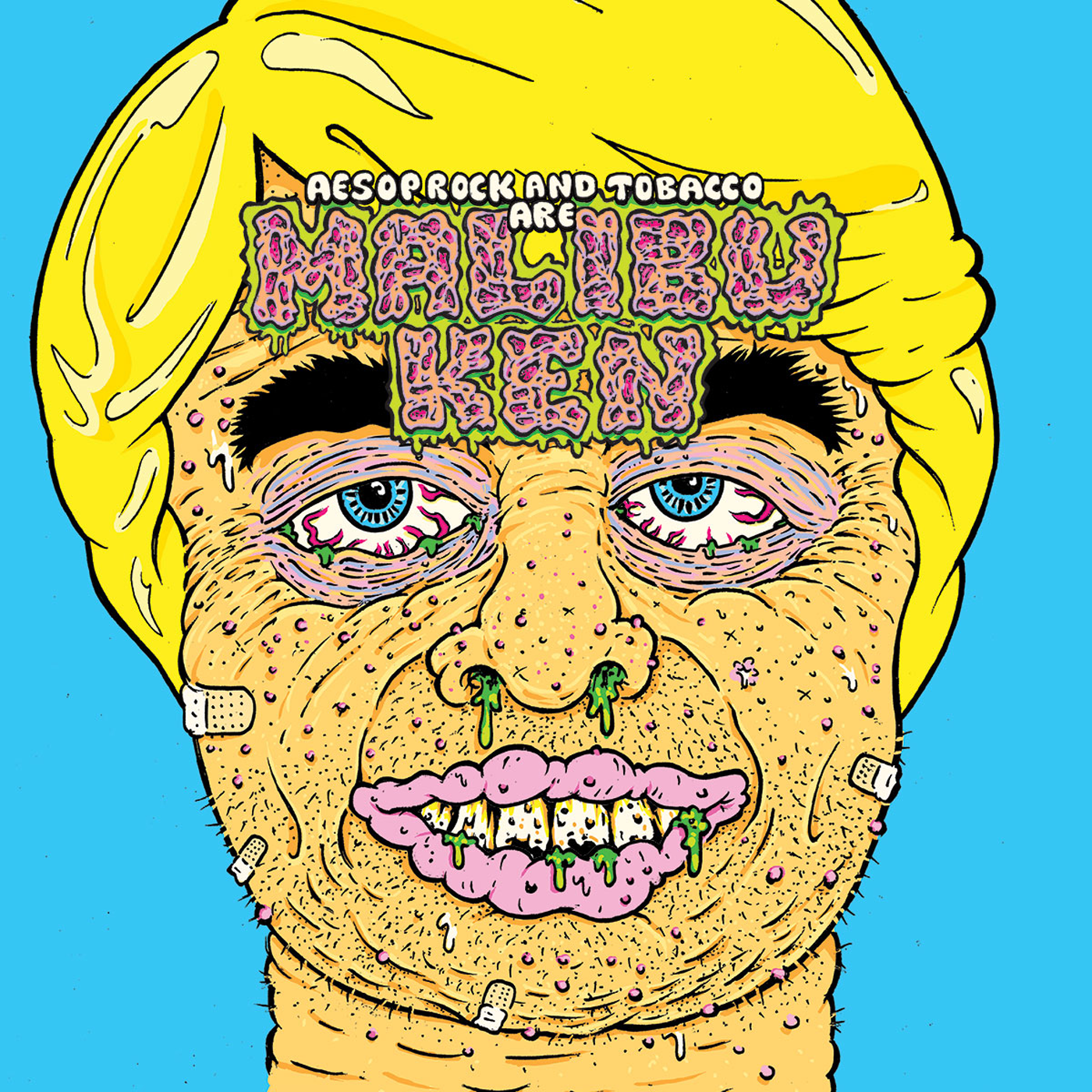 malibu ken.png