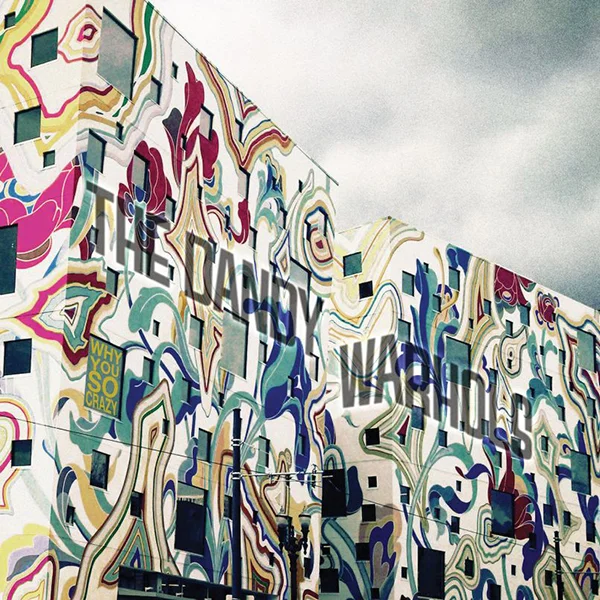 the dandy warhols.jpg