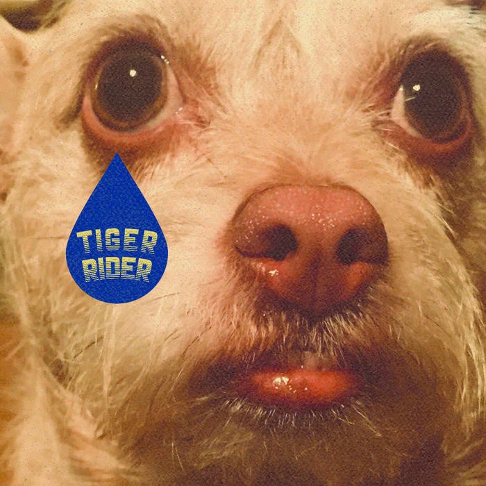tiger rider.jpg