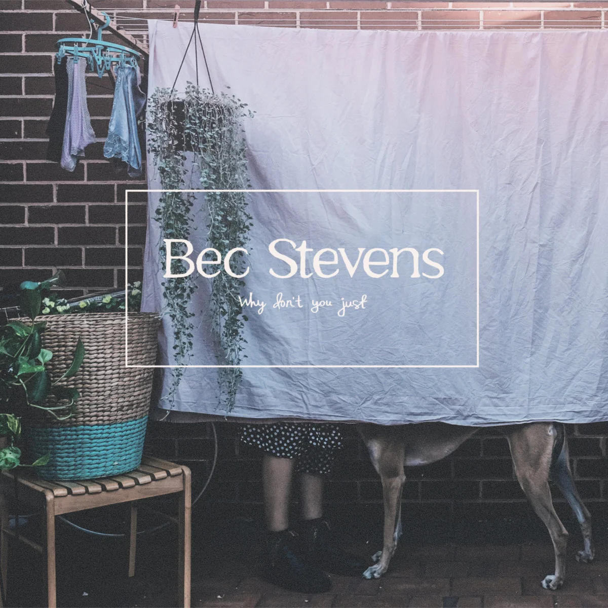 bec stevens.jpg
