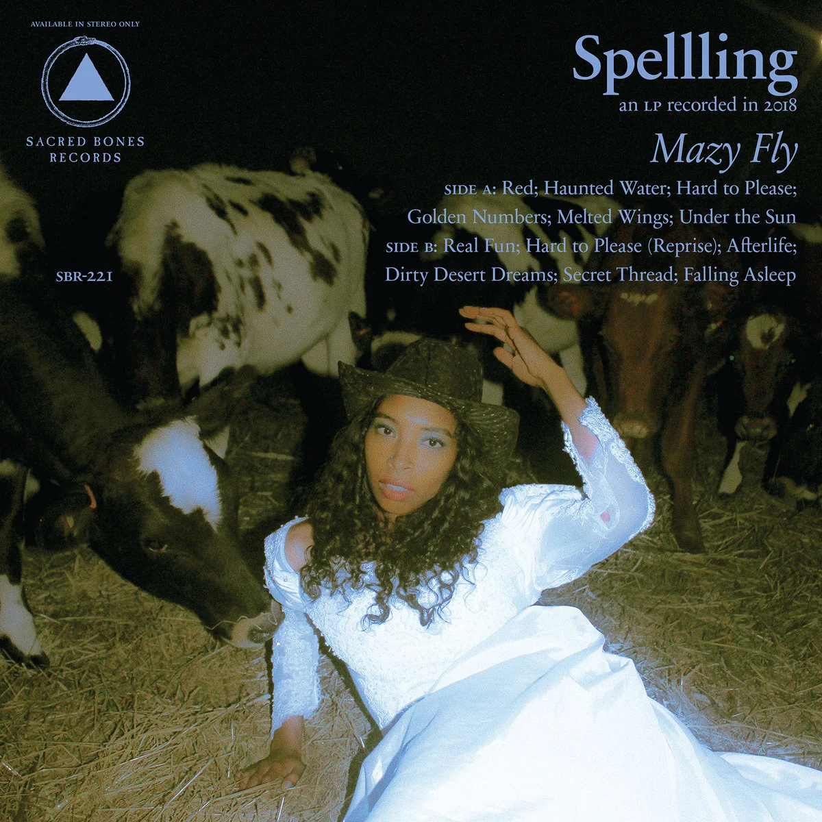 spelling.jpg