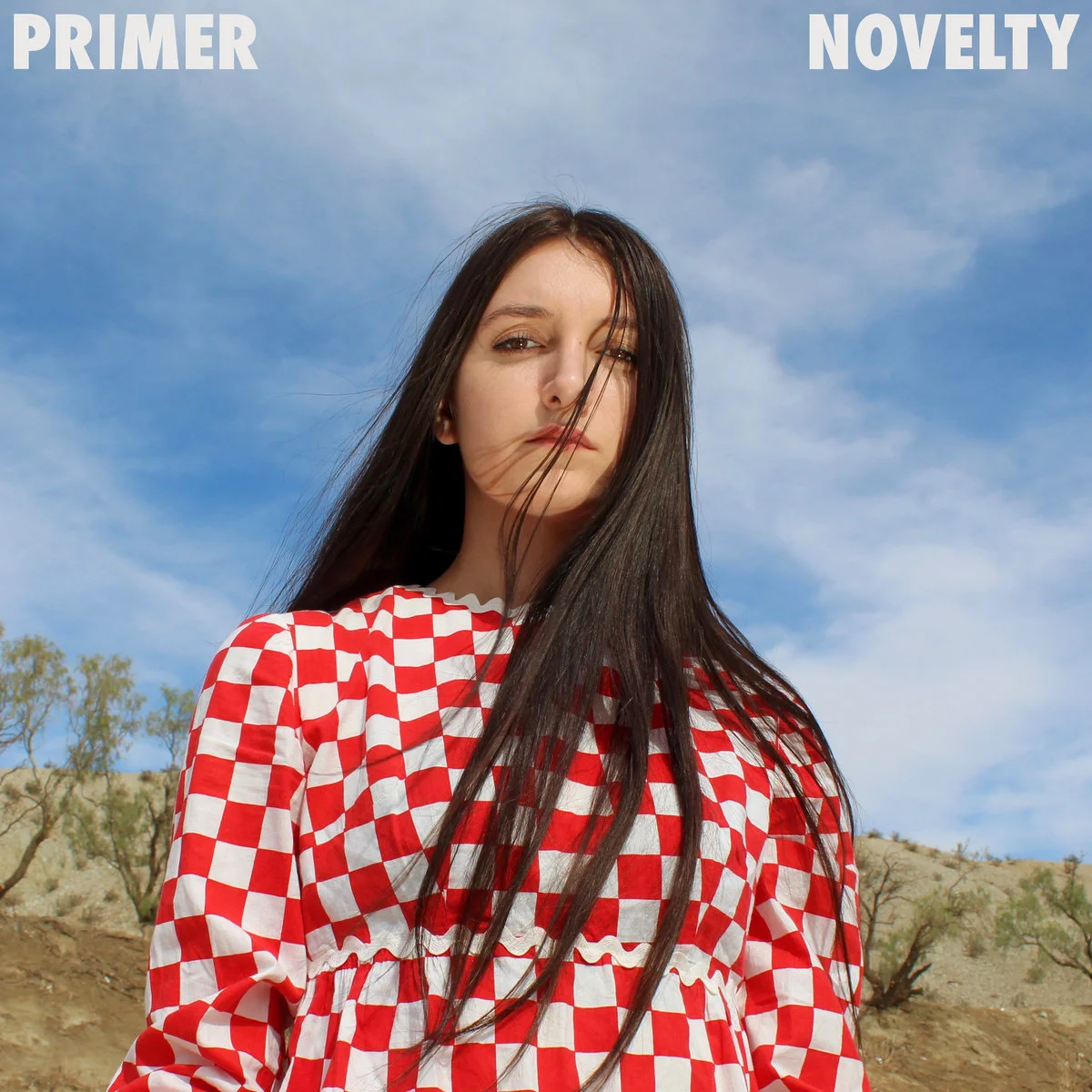 primer.jpg