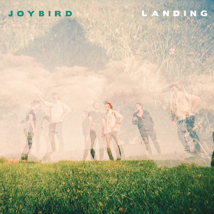 joybird.jpg