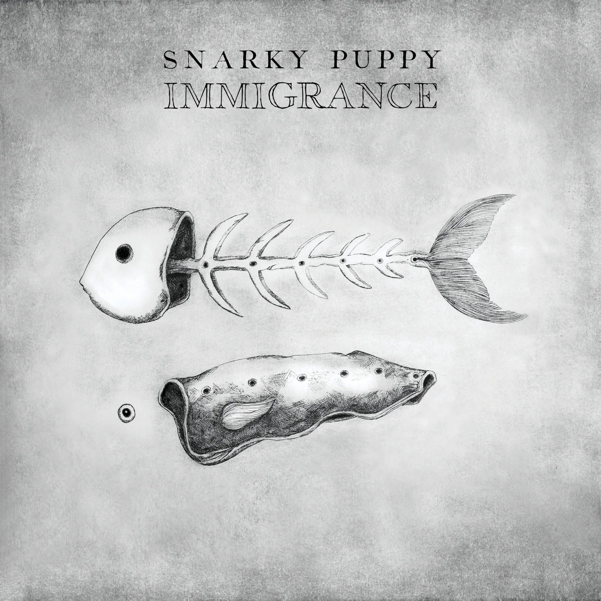 snarky puppy.jpg