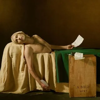 andrew bird.jpg