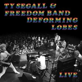 ty segall .jpg