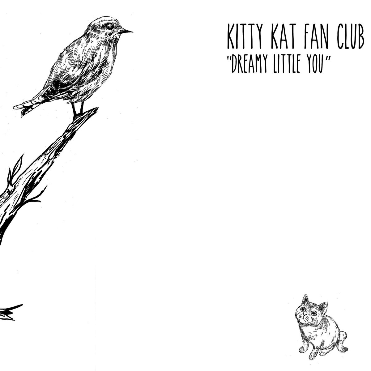 kitty kat fan club.jpg